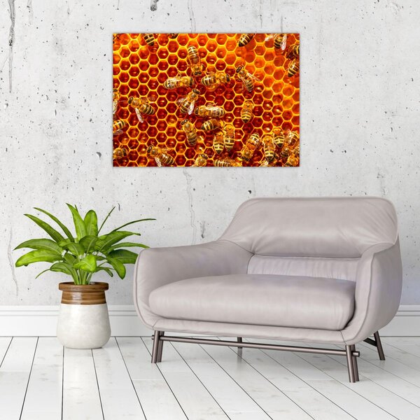 Slika - Saće (70x50 cm)