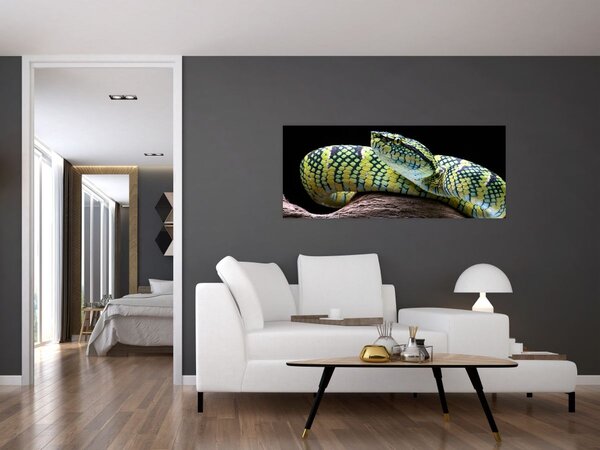 Slika - Waglerova čegrtuša (120x50 cm)