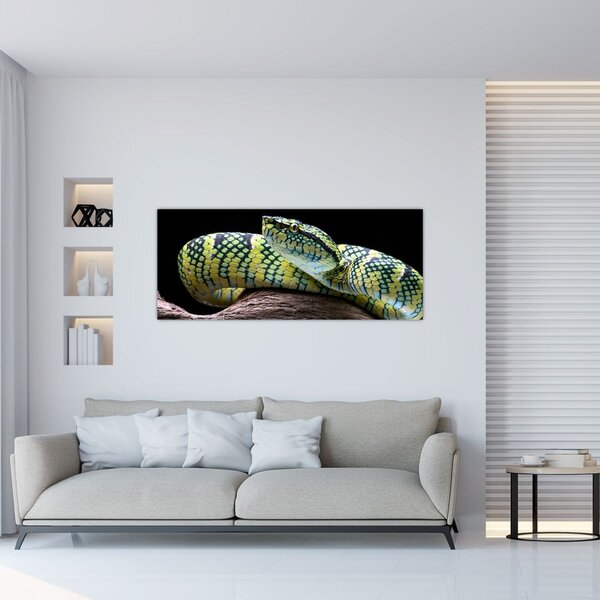 Slika - Waglerova čegrtuša (120x50 cm)