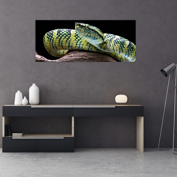 Slika - Waglerova čegrtuša (120x50 cm)