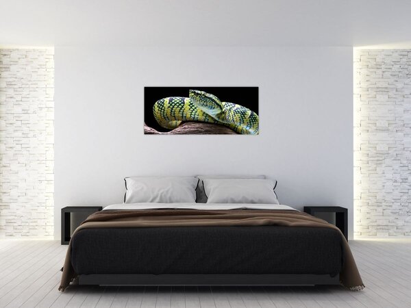 Slika - Waglerova čegrtuša (120x50 cm)