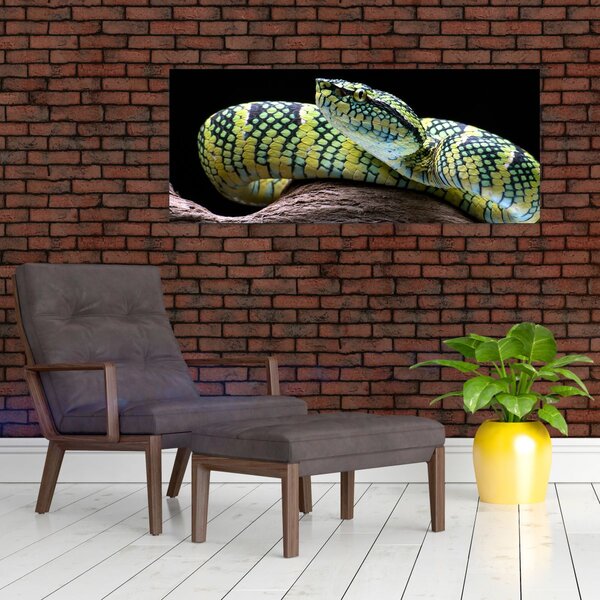 Slika - Waglerova čegrtuša (120x50 cm)