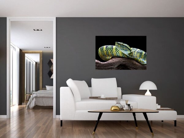Slika - Waglerova čegrtuša (90x60 cm)