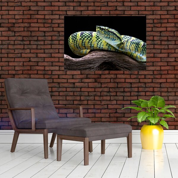 Slika - Waglerova čegrtuša (90x60 cm)