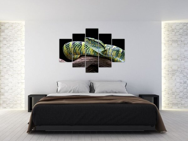 Slika - Waglerova čegrtuša (150x105 cm)