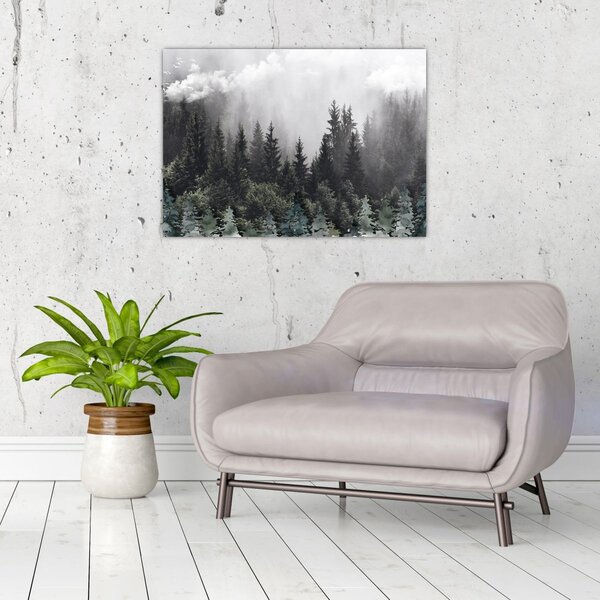 Slika - Šuma s ilustriranim elementima (70x50 cm)