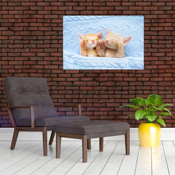 Slika - Mačići koji spavaju (90x60 cm)