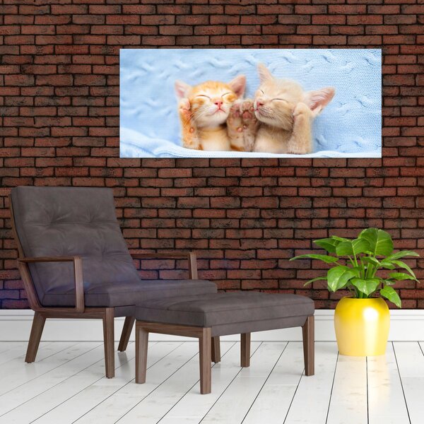 Slika - Mačići koji spavaju (120x50 cm)