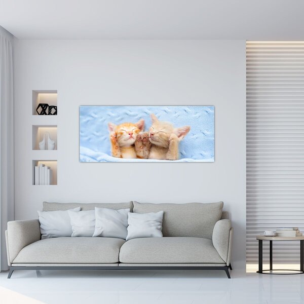 Slika - Mačići koji spavaju (120x50 cm)