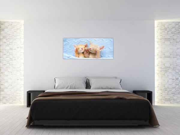 Slika - Mačići koji spavaju (120x50 cm)