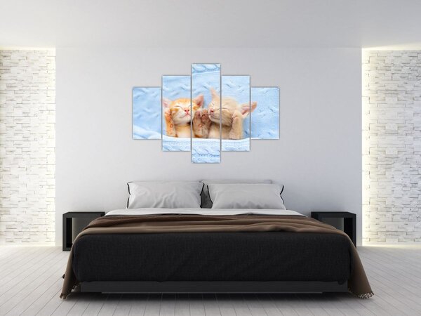 Slika - Mačići koji spavaju (150x105 cm)