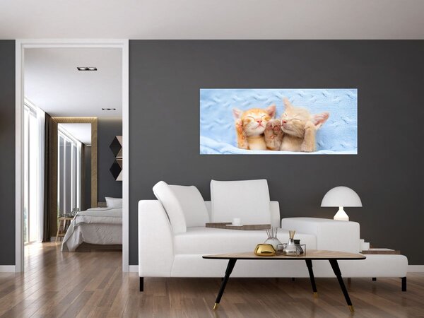 Slika - Mačići koji spavaju (120x50 cm)