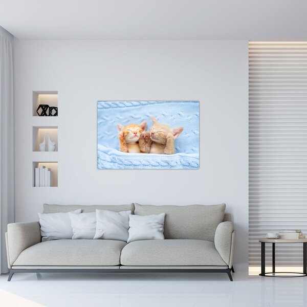 Slika - Mačići koji spavaju (90x60 cm)