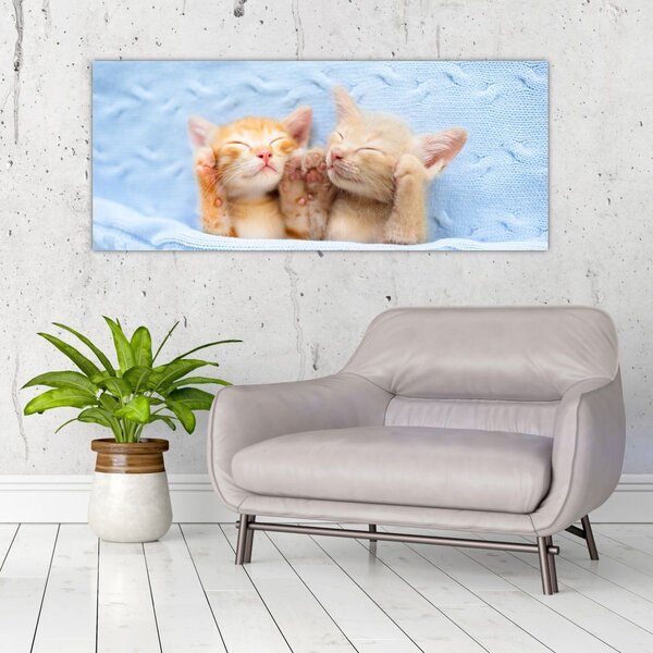 Slika - Mačići koji spavaju (120x50 cm)