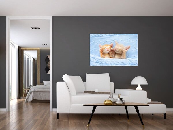 Slika - Mačići koji spavaju (90x60 cm)