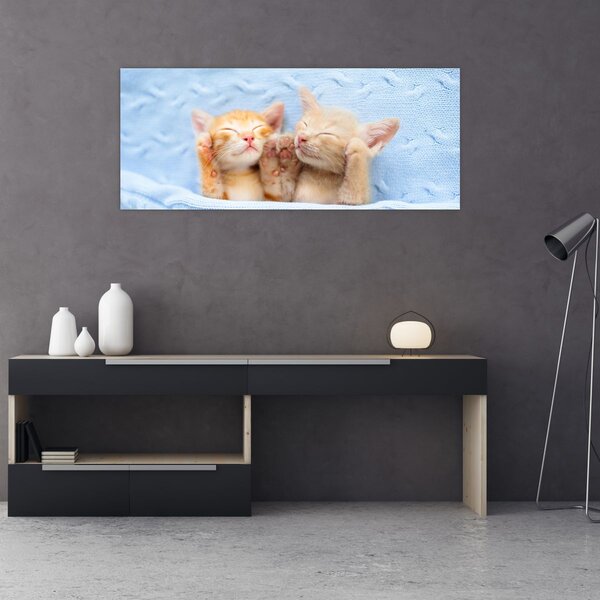 Slika - Mačići koji spavaju (120x50 cm)