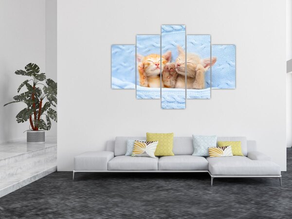 Slika - Mačići koji spavaju (150x105 cm)