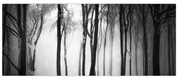 Slika - Vuk u mračnoj šumi (120x50 cm)