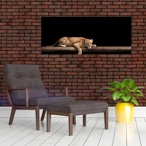 Slika - Lavica (120x50 cm)
