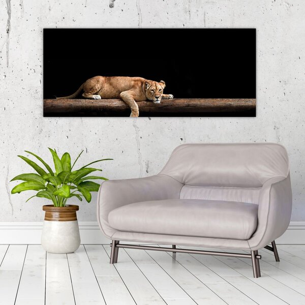 Slika - Lavica (120x50 cm)
