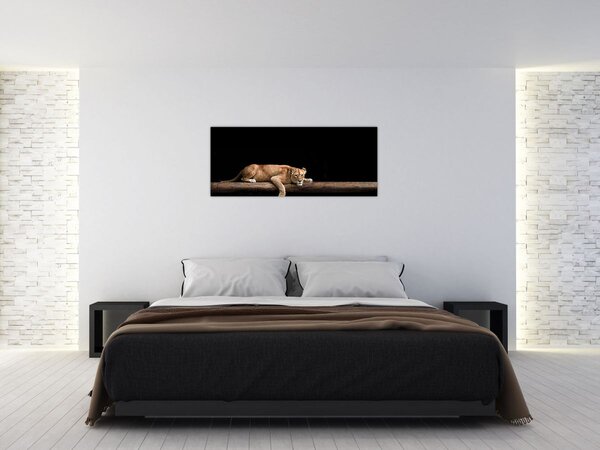 Slika - Lavica (120x50 cm)