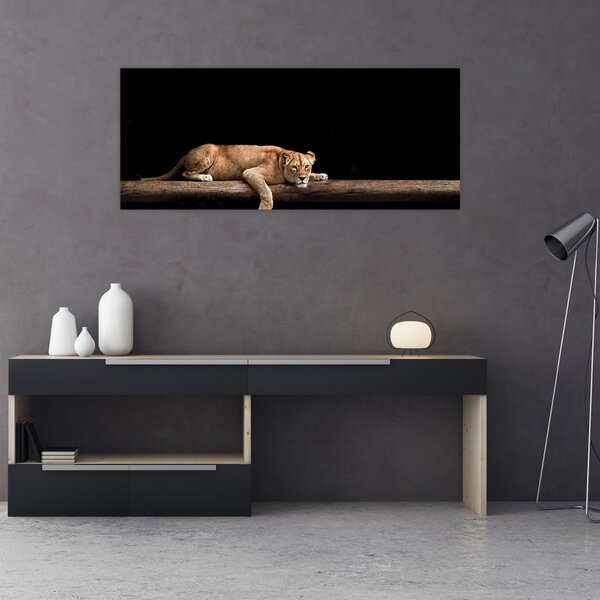 Slika - Lavica (120x50 cm)