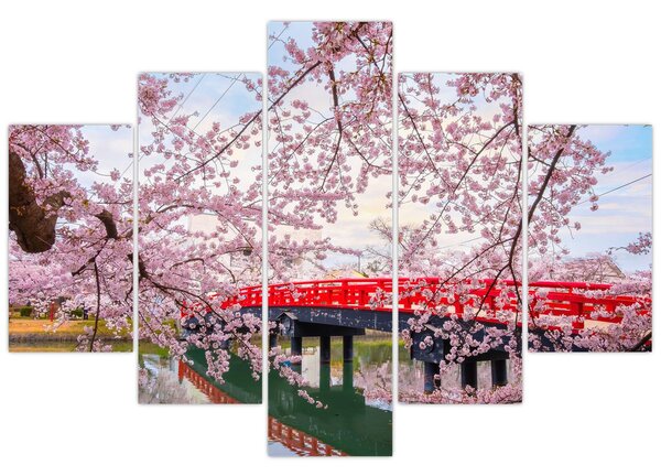 Slika - Hirosaki, Japan (150x105 cm)
