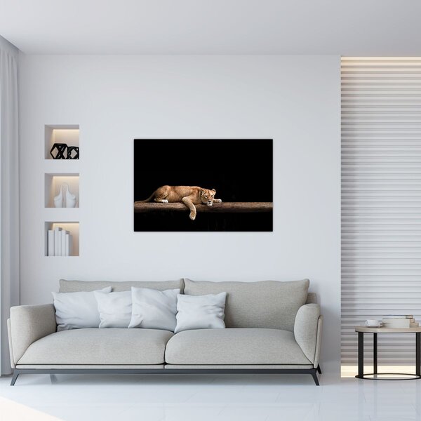 Slika - Lavica (90x60 cm)
