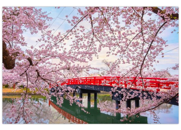 Slika - Hirosaki, Japan (90x60 cm)