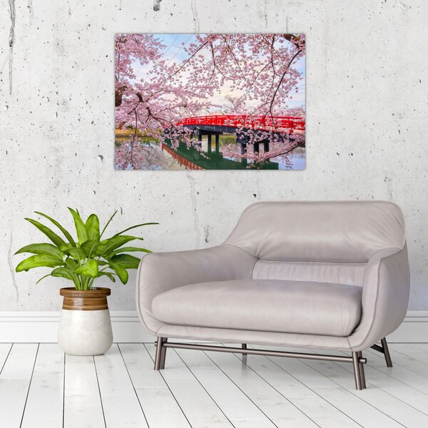 Slika - Hirosaki, Japan (70x50 cm)