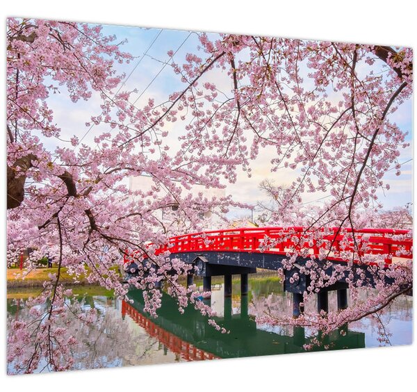 Slika - Hirosaki, Japan (70x50 cm)