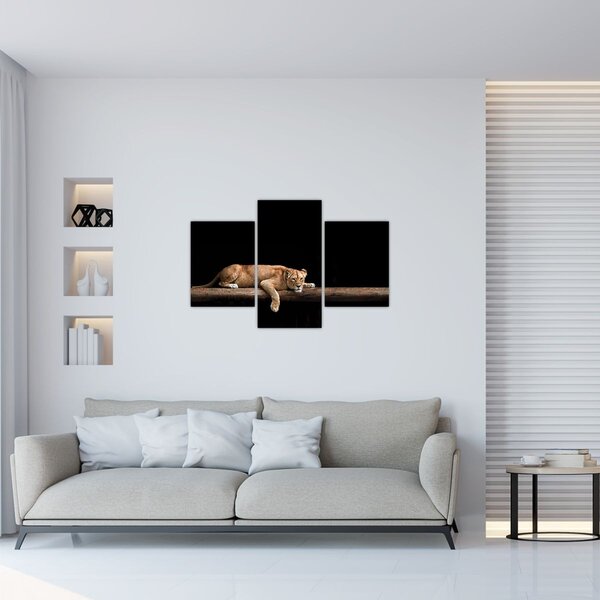 Slika - Lavica (90x60 cm)