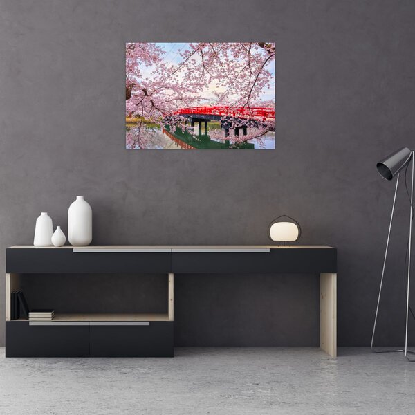 Slika - Hirosaki, Japan (70x50 cm)