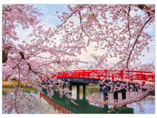 Slika - Hirosaki, Japan (70x50 cm)