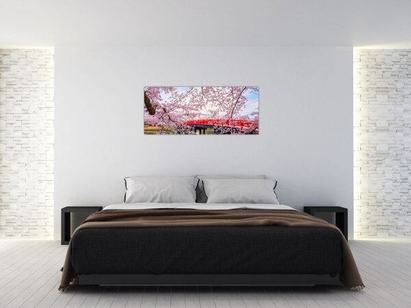Slika - Hirosaki, Japan (120x50 cm)