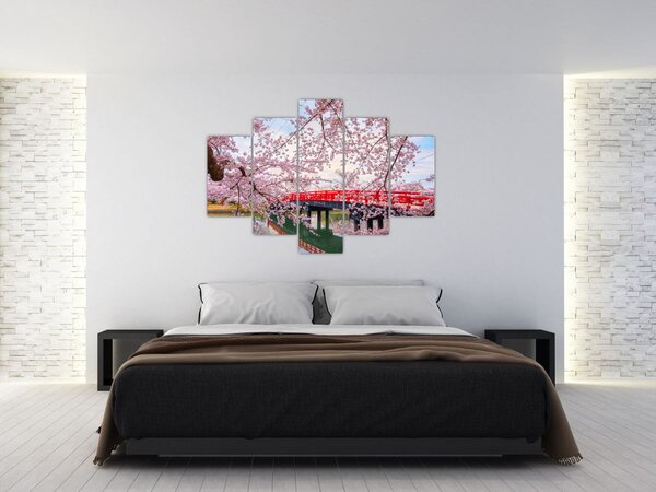 Slika - Hirosaki, Japan (150x105 cm)