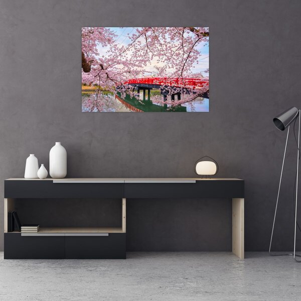 Slika - Hirosaki, Japan (90x60 cm)