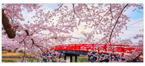 Slika - Hirosaki, Japan (120x50 cm)