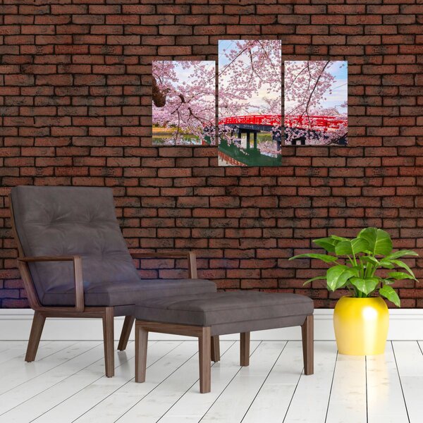 Slika - Hirosaki, Japan (90x60 cm)