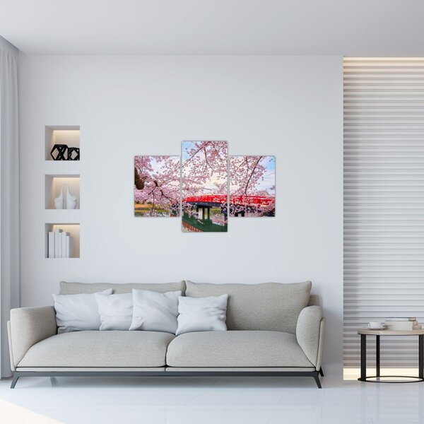 Slika - Hirosaki, Japan (90x60 cm)