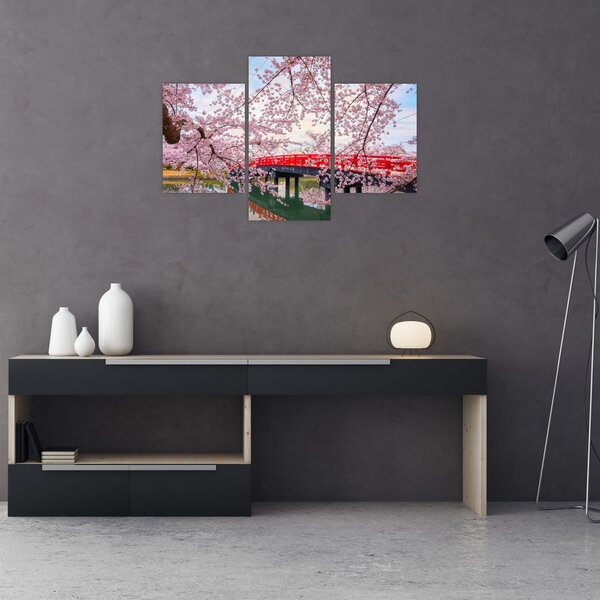 Slika - Hirosaki, Japan (90x60 cm)