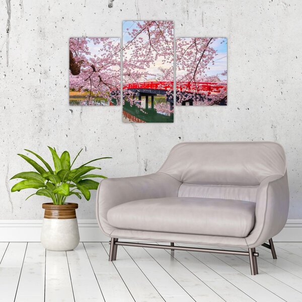 Slika - Hirosaki, Japan (90x60 cm)