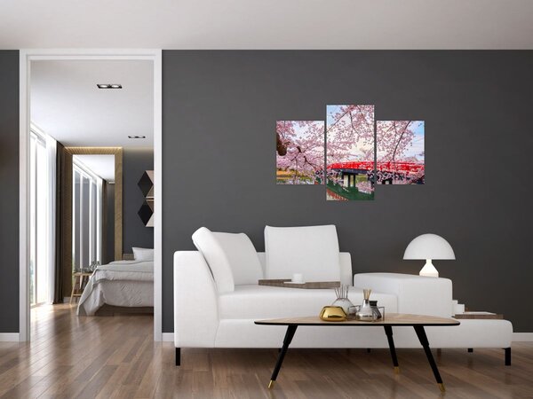 Slika - Hirosaki, Japan (90x60 cm)