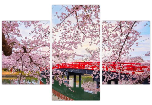 Slika - Hirosaki, Japan (90x60 cm)