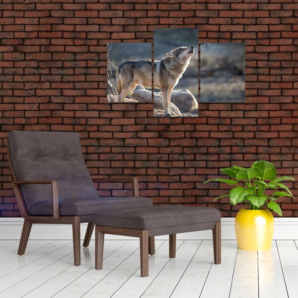 Slika - Vuk koji zavija (90x60 cm)