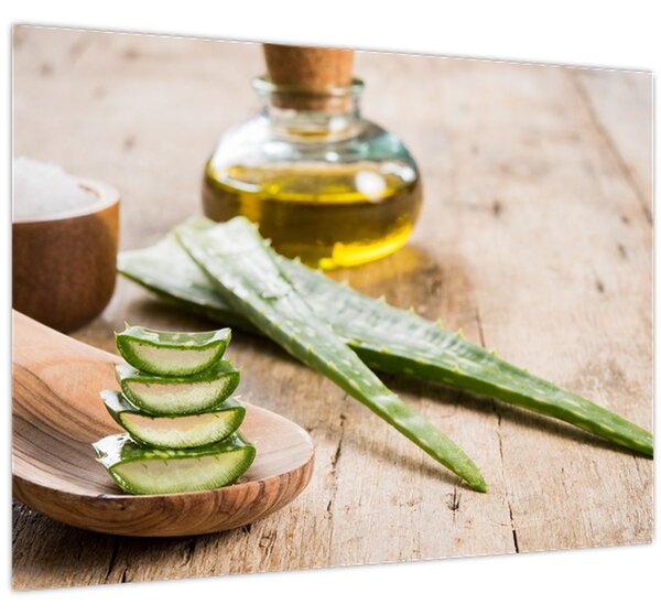 Slika - Aloe vera (70x50 cm)