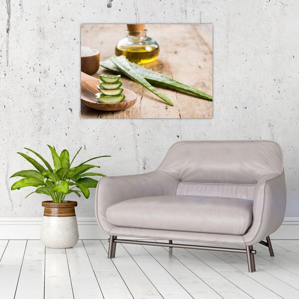 Slika - Aloe vera (70x50 cm)