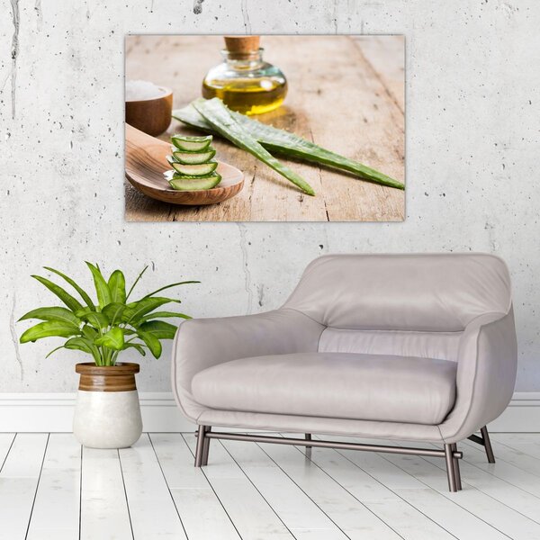 Slika - Aloe vera (90x60 cm)