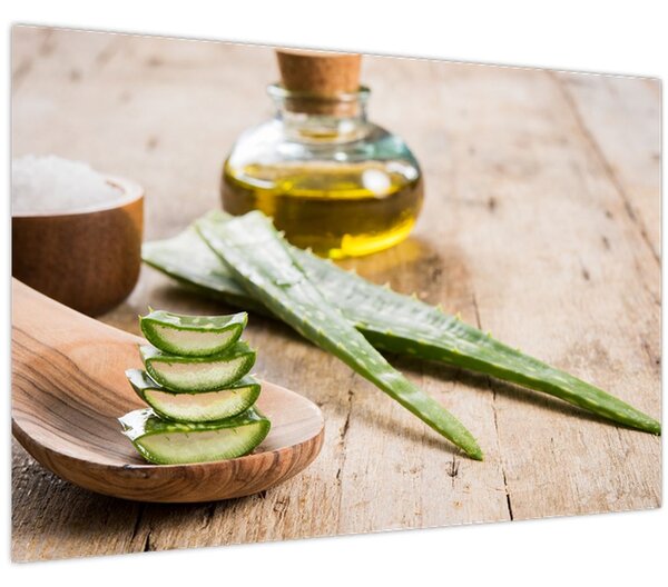 Slika - Aloe vera (90x60 cm)