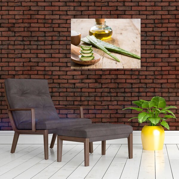 Slika - Aloe vera (70x50 cm)